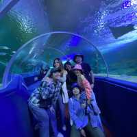  สวนสัตว์เชียงใหม่ก็มี ‘อความเรียม’ นะ🐳