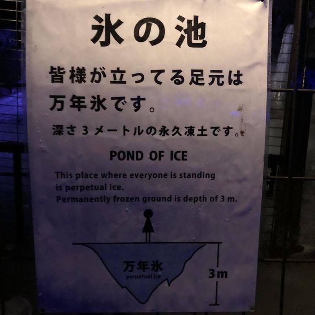 鳴沢氷穴🎥🎥富士山🗻自然遺產💓超震撼體驗