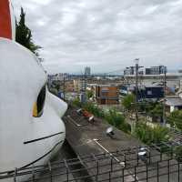 愛知県！常滑市の見まもり猫｢とこにゃん｣