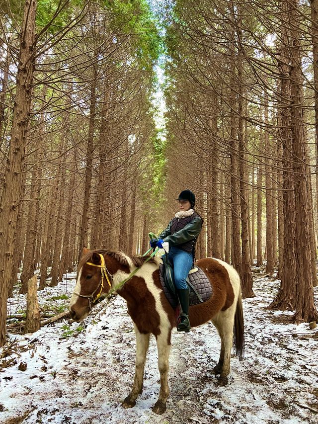 탁 트인 제주 자연에서, 색다른 경험을 하고싶다면?🐎 <뱅듸승마클럽>