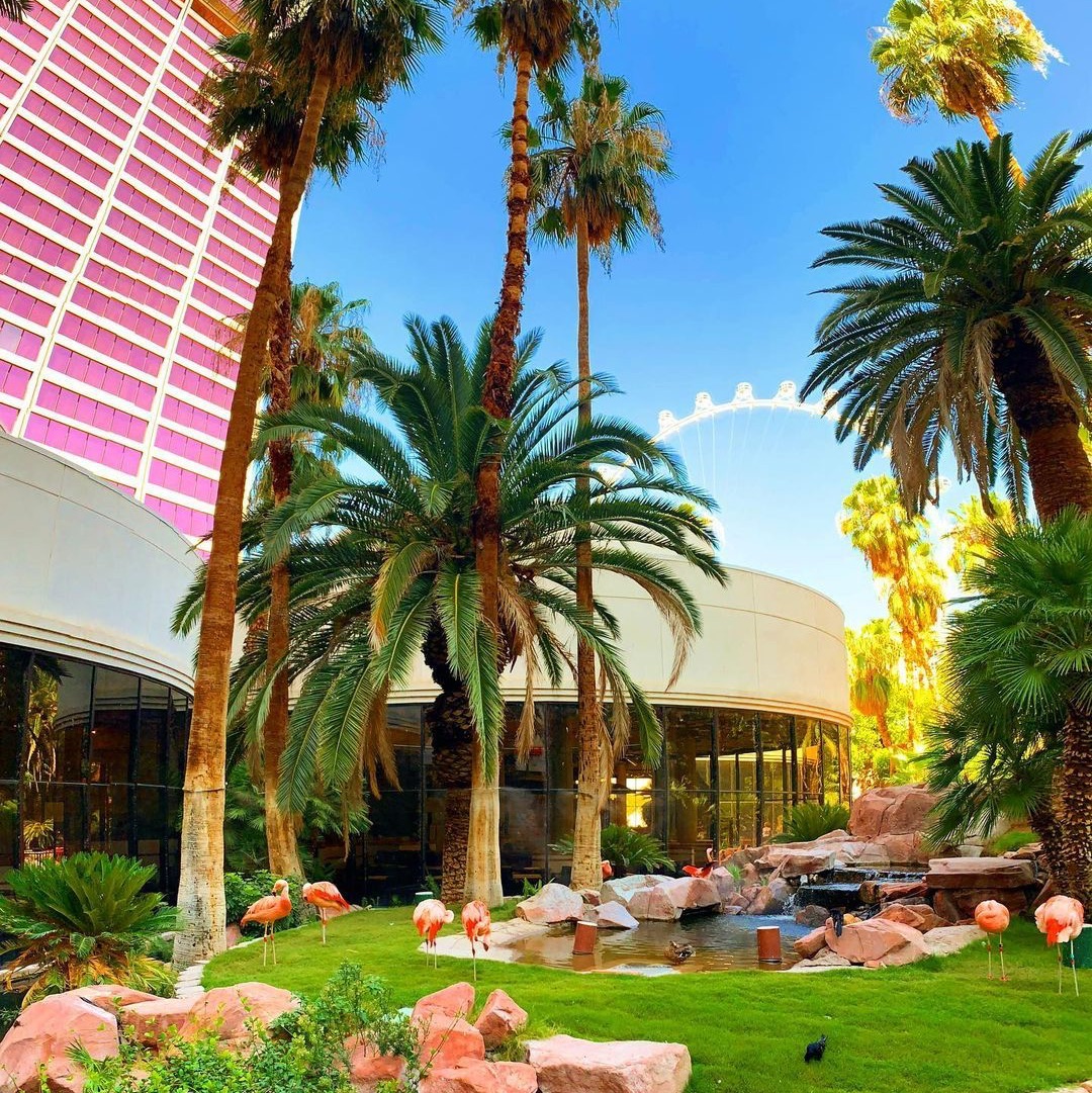 Flamingo Las Vegas Deals Promo Codes & Discounts