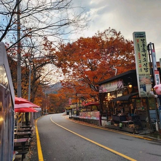 Jirisan Black Pig meal with nice foliage view