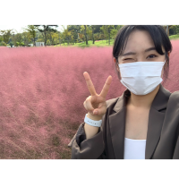 나주 핑크뮬리 ‘국립박물관‘