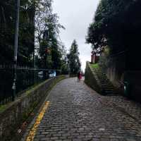 The Funchal View from the top