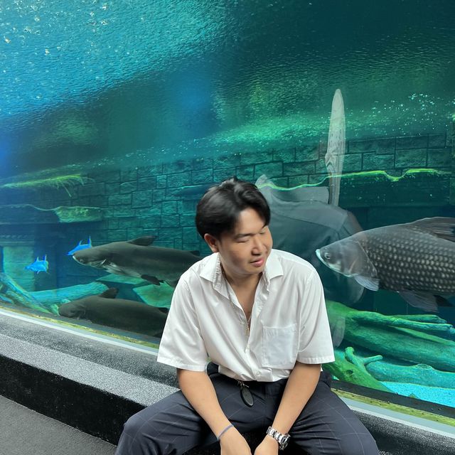 อุโมงทะเล
