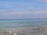 A taste of island for a day
