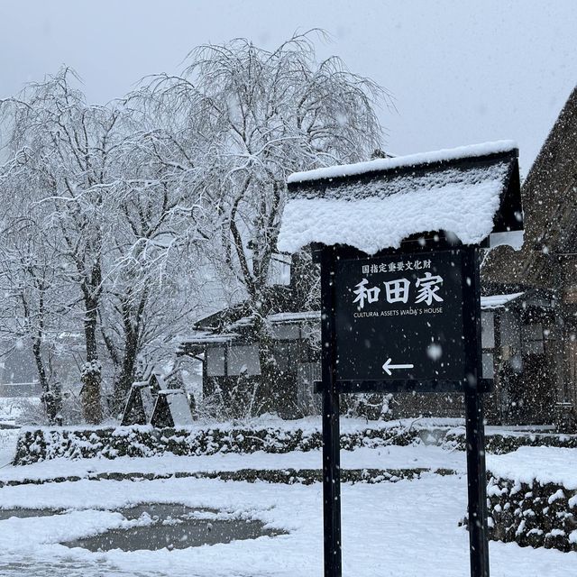 Magical Winter Wonderland - Shirakawago 