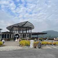 บ้านติดดิน 🗻🌳🏞