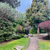 Experience cool climate Garden in Hobart🧚‍♂️