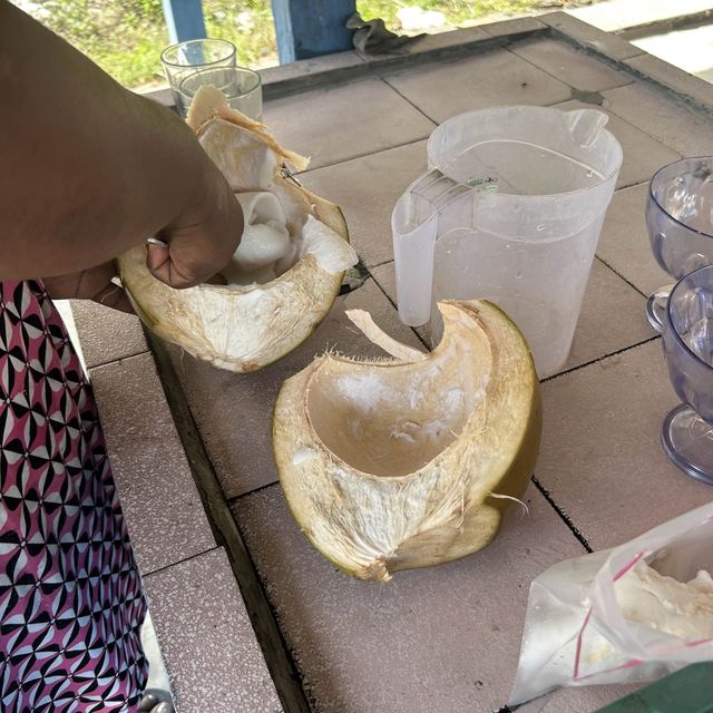 炎熱的天氣就是要喝椰子水