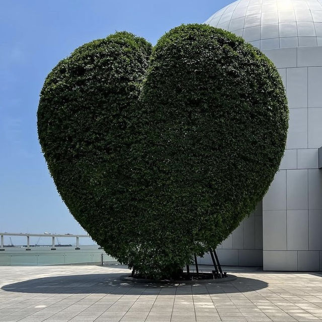 澳門🇲🇴通關❤️親子遊第一擊‼️澳門科學館