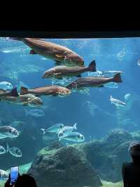 CretAquarium - Crete Island, Greece