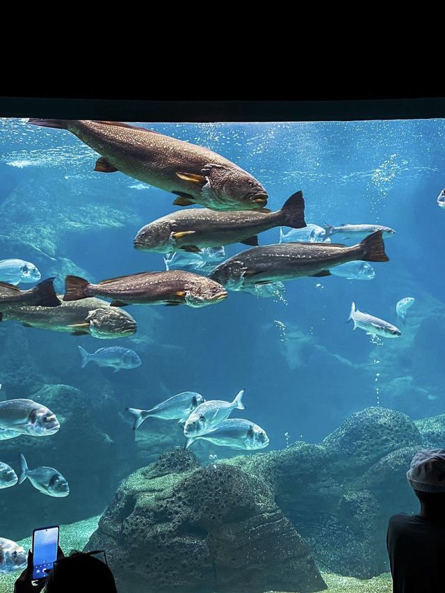 CretAquarium - Crete Island, Greece