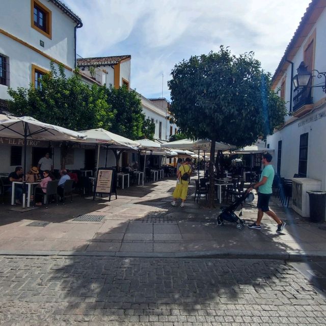 Another Plaza at Cordoba 