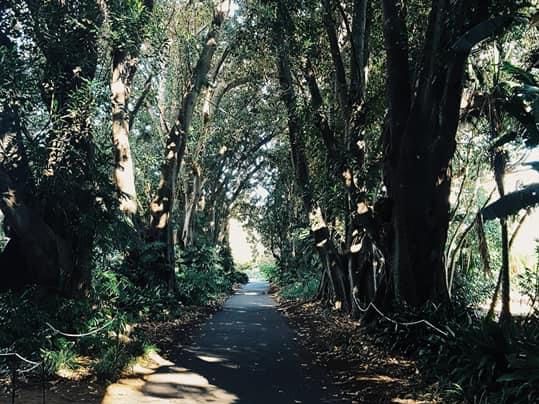 Adelaide Botanic Garden 