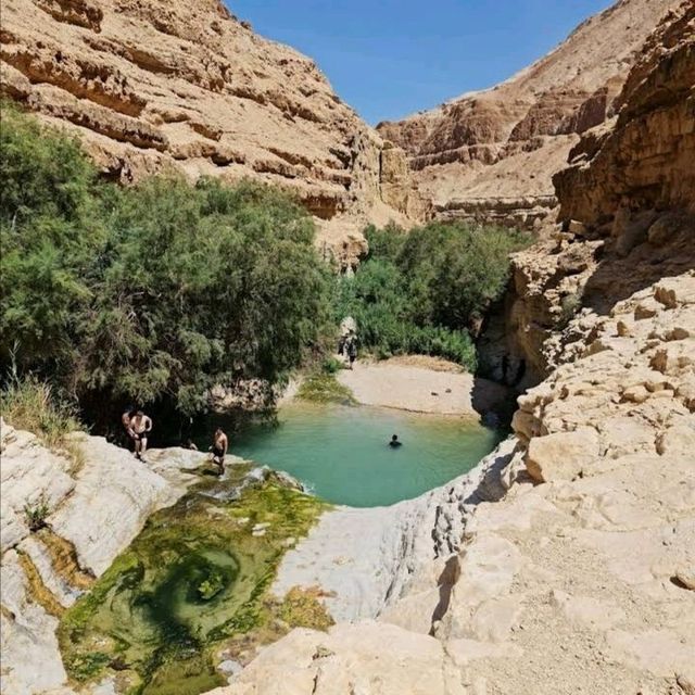 Ein gedi reserve