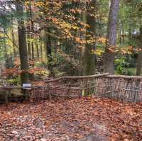 School in the Forest