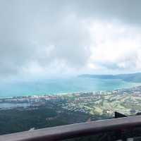 Tropical paradise forest  #Sanya 