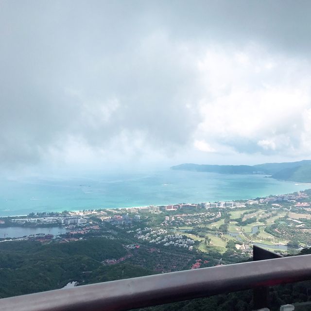Tropical paradise forest  #Sanya 