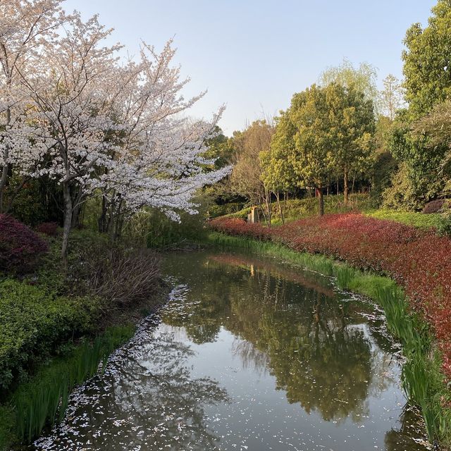 A hidden gem in Suzhou