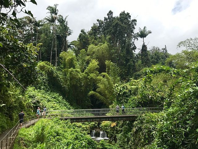 Akaka Falls