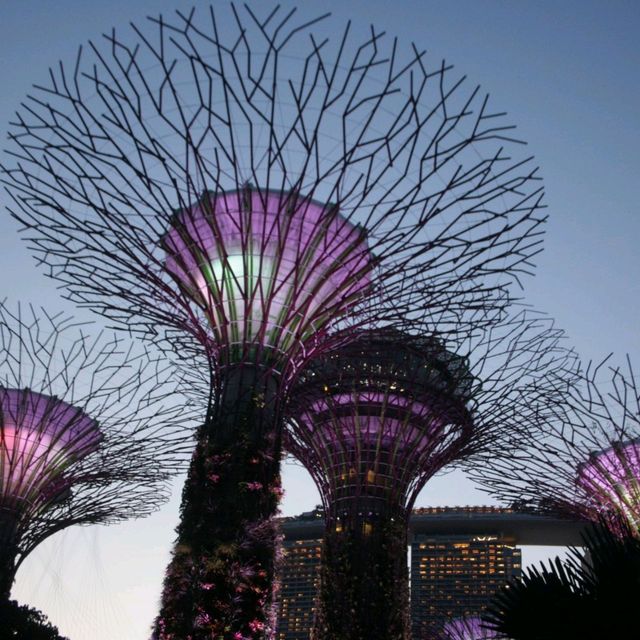 Stunning moments in Singapore 