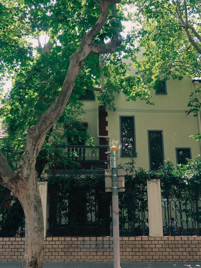 Former French Concession, Shanghai🌿🌱