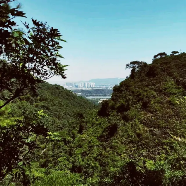 Autumn Hike in Foshan's Mountains