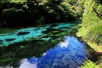 New Zealand's purest Blue Spring