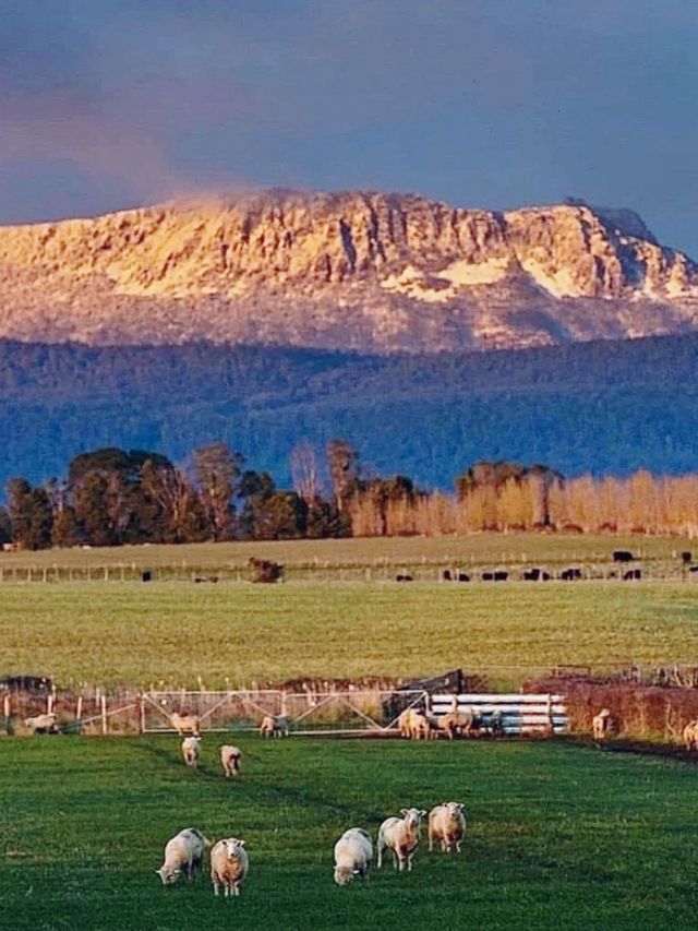 "World's Best Travel Destination" Tasmania is truly beautiful.
