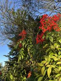Colorful winter - Seattle