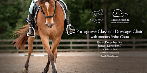 Portuguese Classical Dressage Clinic | Walkabout Farms, Guy-Johnson Lane, Raleigh, NC, USA