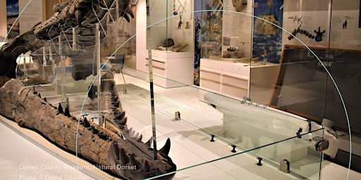 Arts Council National Lottery Project Grants Museums Roadshow: South West | Royal Albert Memorial Museum and Art Gallery