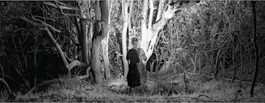 Spotlight! | Pacific Park, Pacific Street, Newcastle NSW, Australia