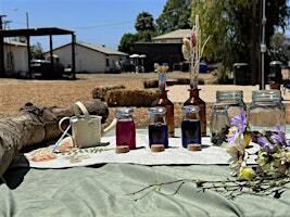The Butterfly Effect—Sip & Paint | S&S Friendly Ranch