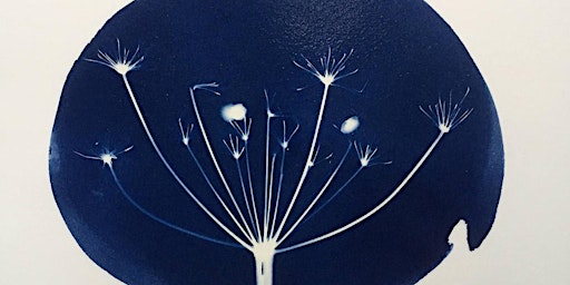 Cyanotype Printing | The Burton at Bideford