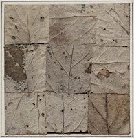 Studio C workshop: Natuurcollage | Museum Kranenburgh