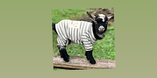 Goat Yoga Nashville- January Jammies | Goat Yoga Nashville