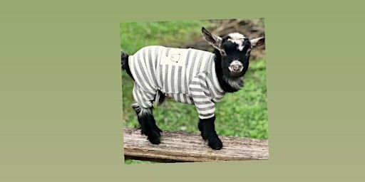 Goat Yoga Nashville- January Jammies | Goat Yoga Nashville