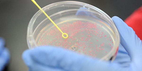 ABE course 2 - Extending DNA manipulation - Norwich 2025 | John Innes Centre
