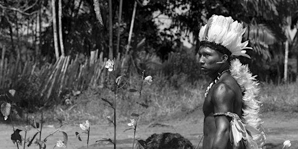 Embrace of the Serpent | Alder Bar