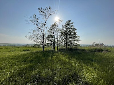Capturing Change: Photography Tour | Freshkills Park