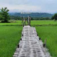 สะพานทุ่งนาน้อยเขาหล่น