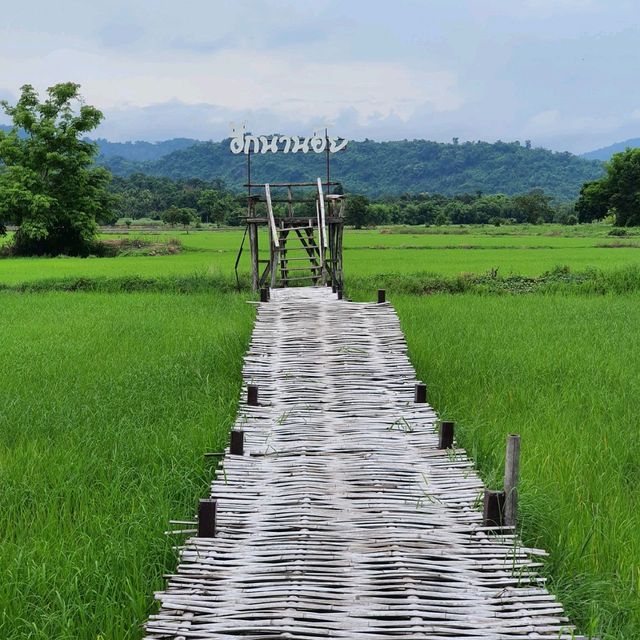 สะพานทุ่งนาน้อยเขาหล่น