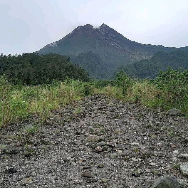 KALIADEM BUNGKER, YOGYAKARTA