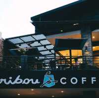 Caribou Coffee