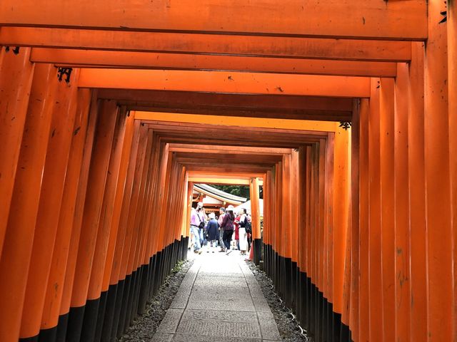 Fushimi Inari Taisha, Kyoto 