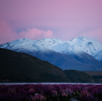 Lake Tekapo New Zealand