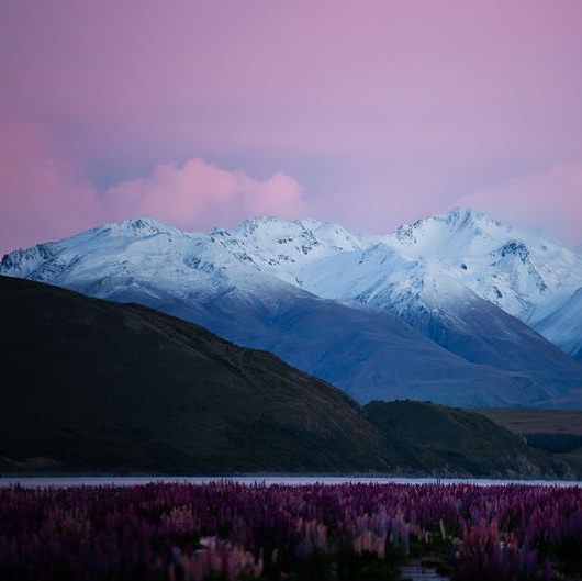 Lake Tekapo New Zealand