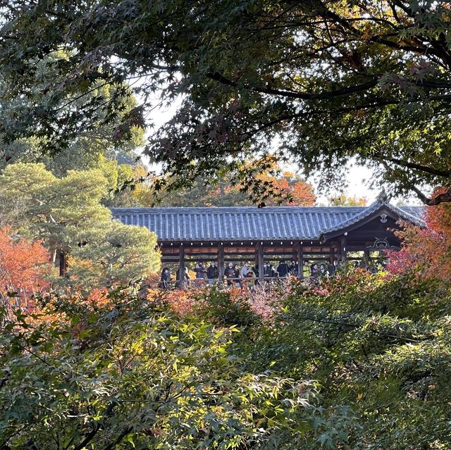 【紅葉巡り】京都ー東福寺